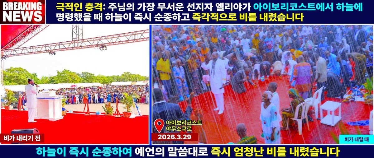 🇰🇷 임서영 tweet media