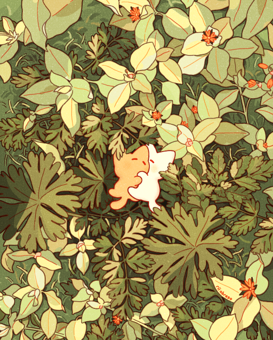 rii abrego tweet media