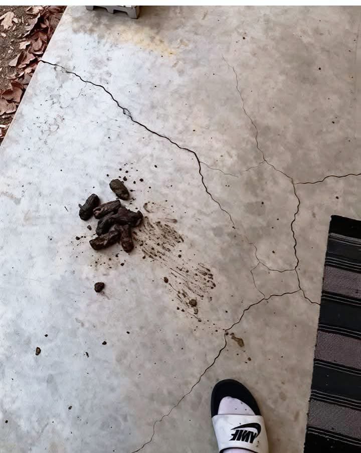 Ron wright tweet media