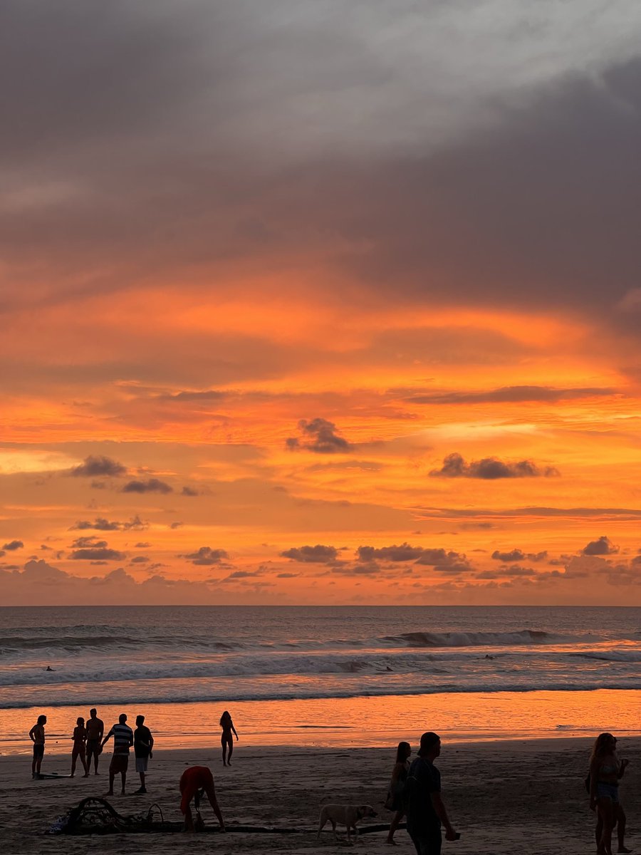 Timeline cleanser ✨