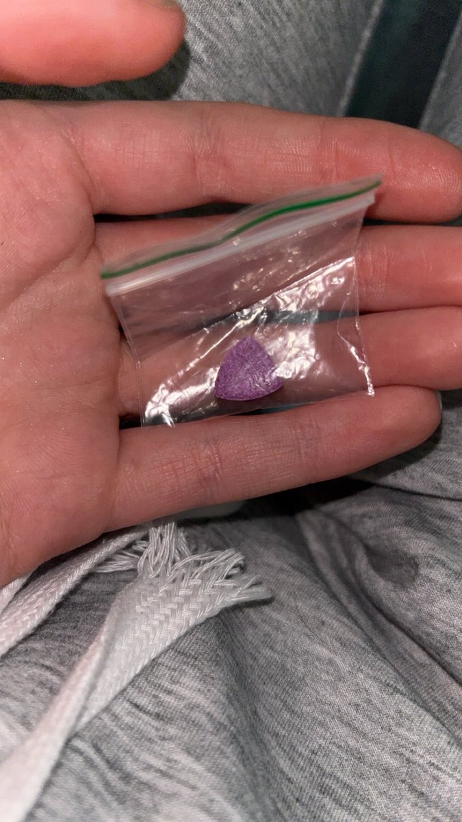 UntilQuietus tweet media