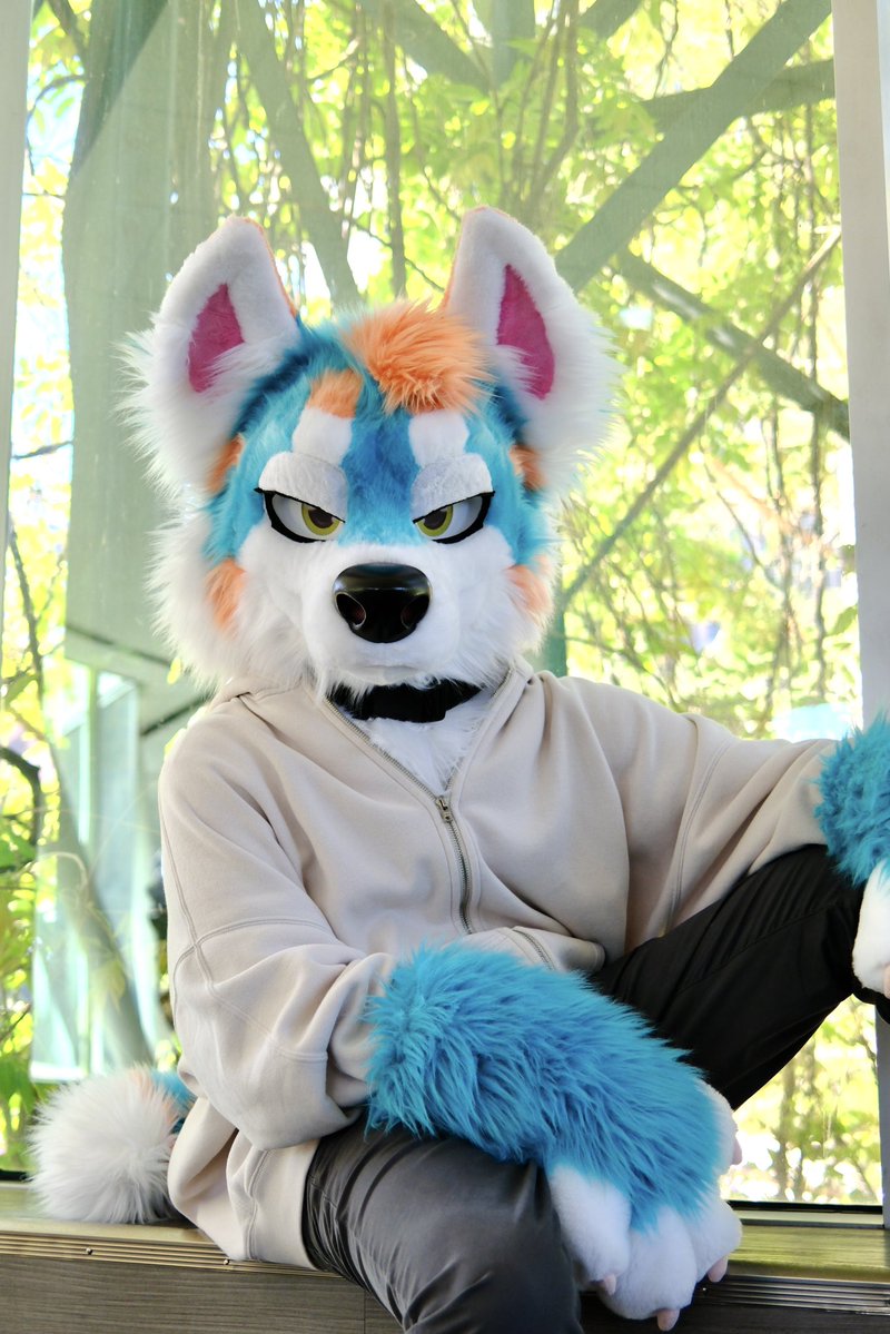 DezzyPuppy🏖️ tweet media