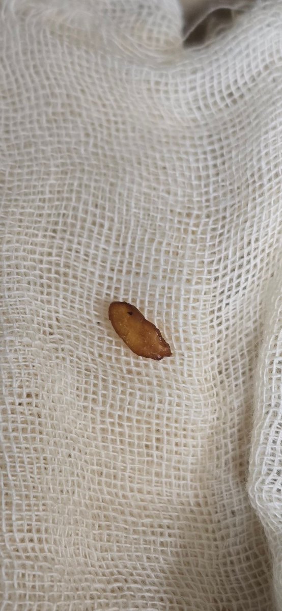 日本橋弁松総本店 tweet media