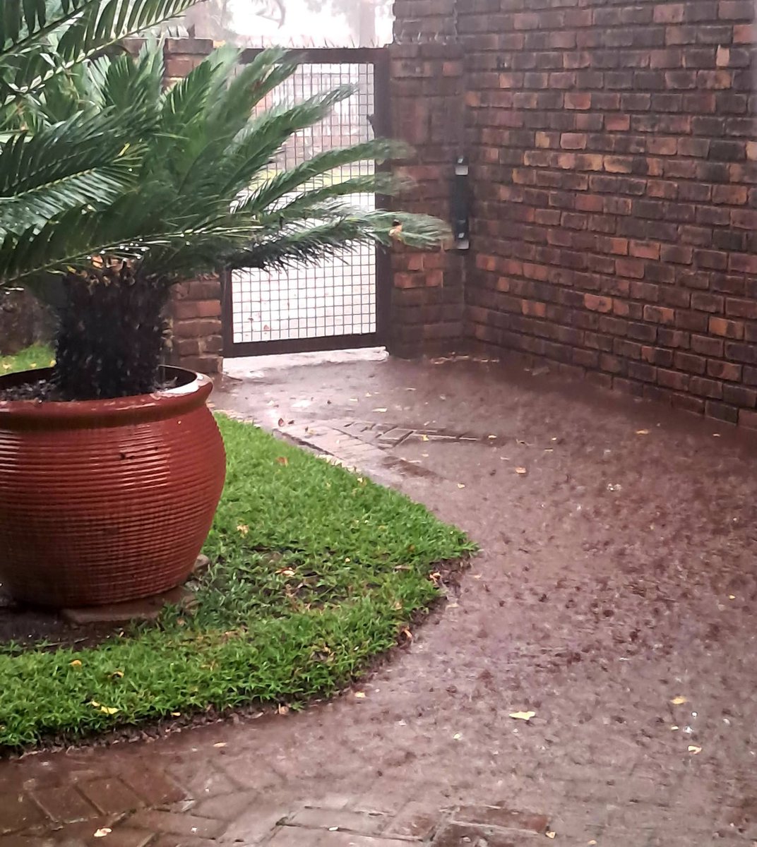 ReenvalSA tweet media