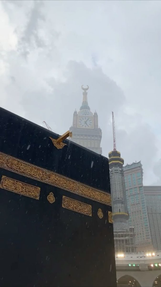 عائشة الشيزاوي | 🕊 tweet media
