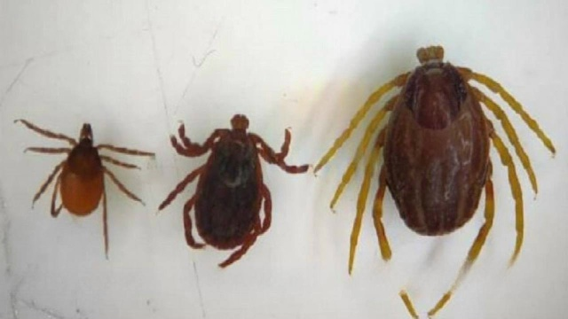 Anubi777 tweet media