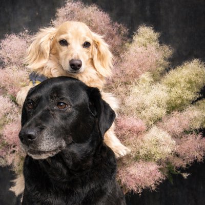 ひろみ tweet media