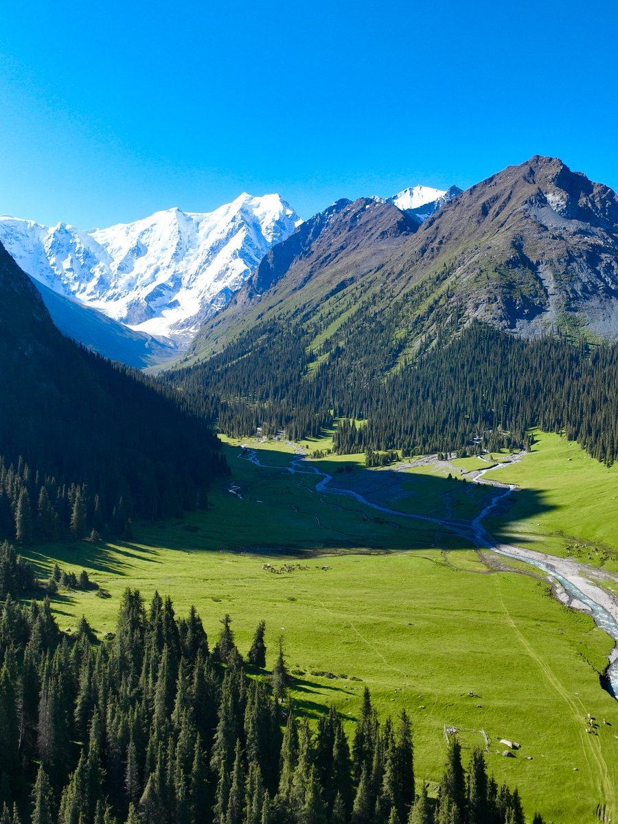 Wander Aesthetic tweet media