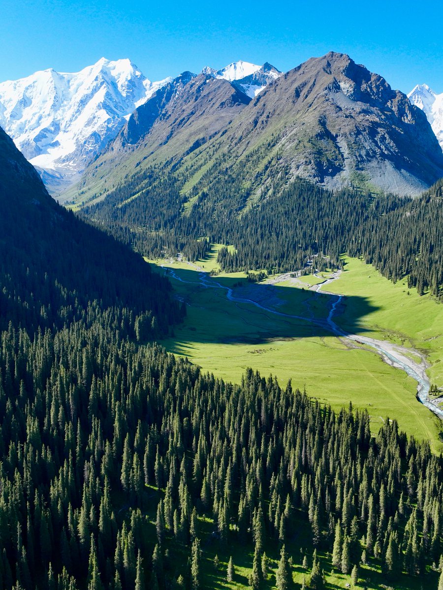 Wander Aesthetic tweet media