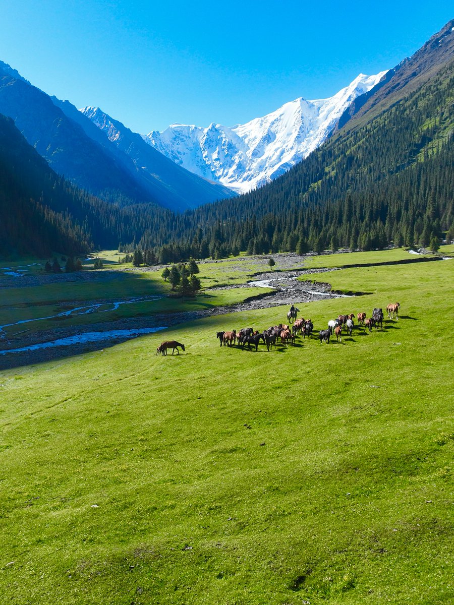 Wander Aesthetic tweet media