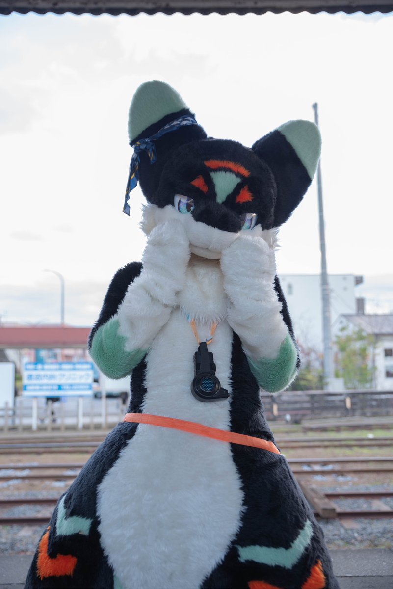 中浦春音🌾💤 tweet media