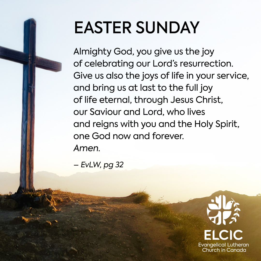 ELCIC tweet media
