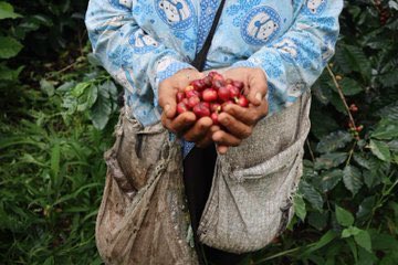 GemKeistein tweet media