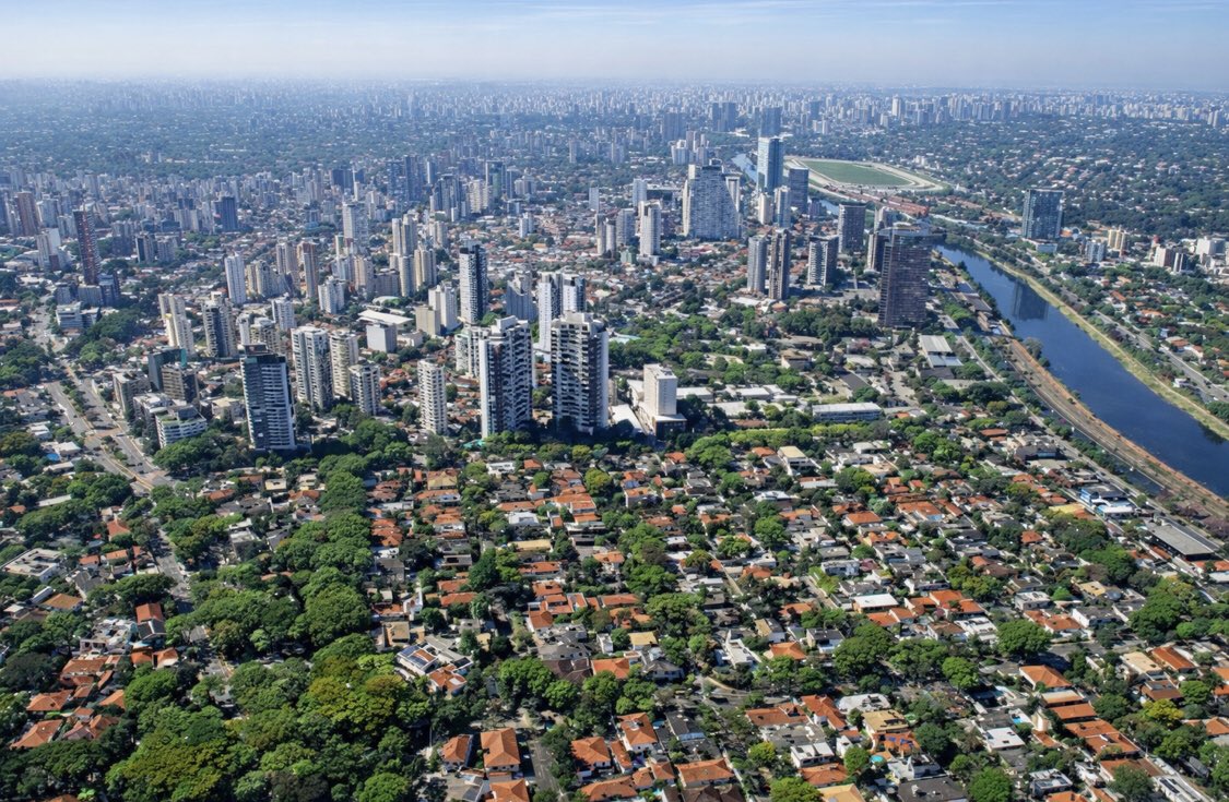 SCOUT Sccp 🦅 tweet media