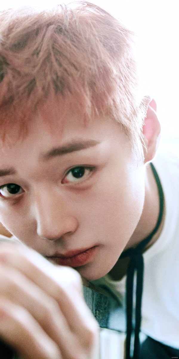 🐰✨️ tweet media