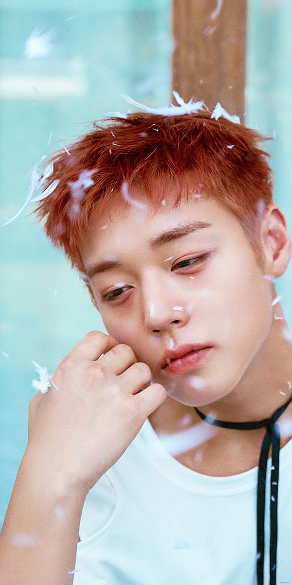 🐰✨️ tweet media