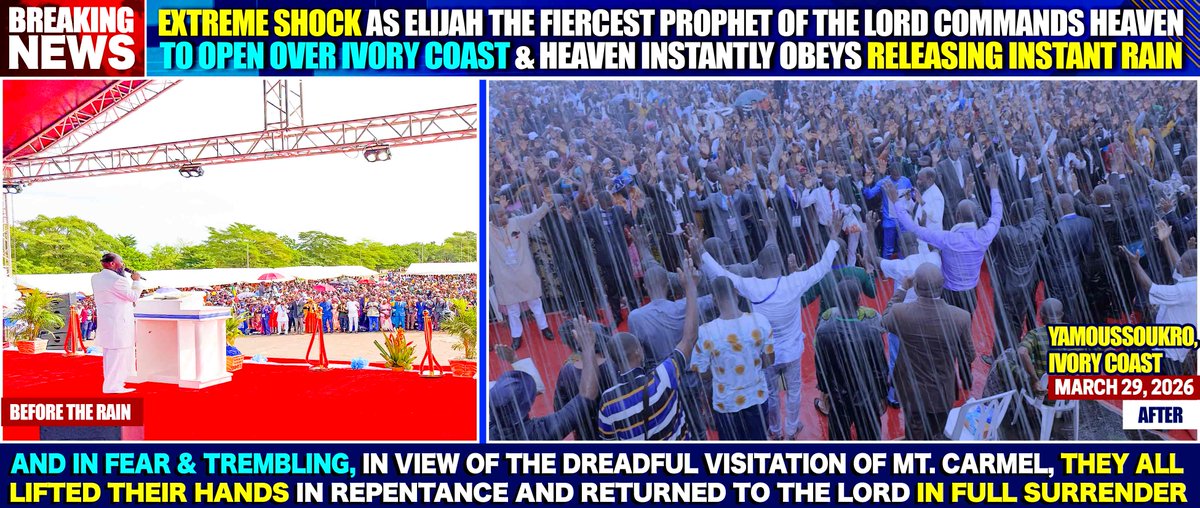 TheCrossNuggets tweet media