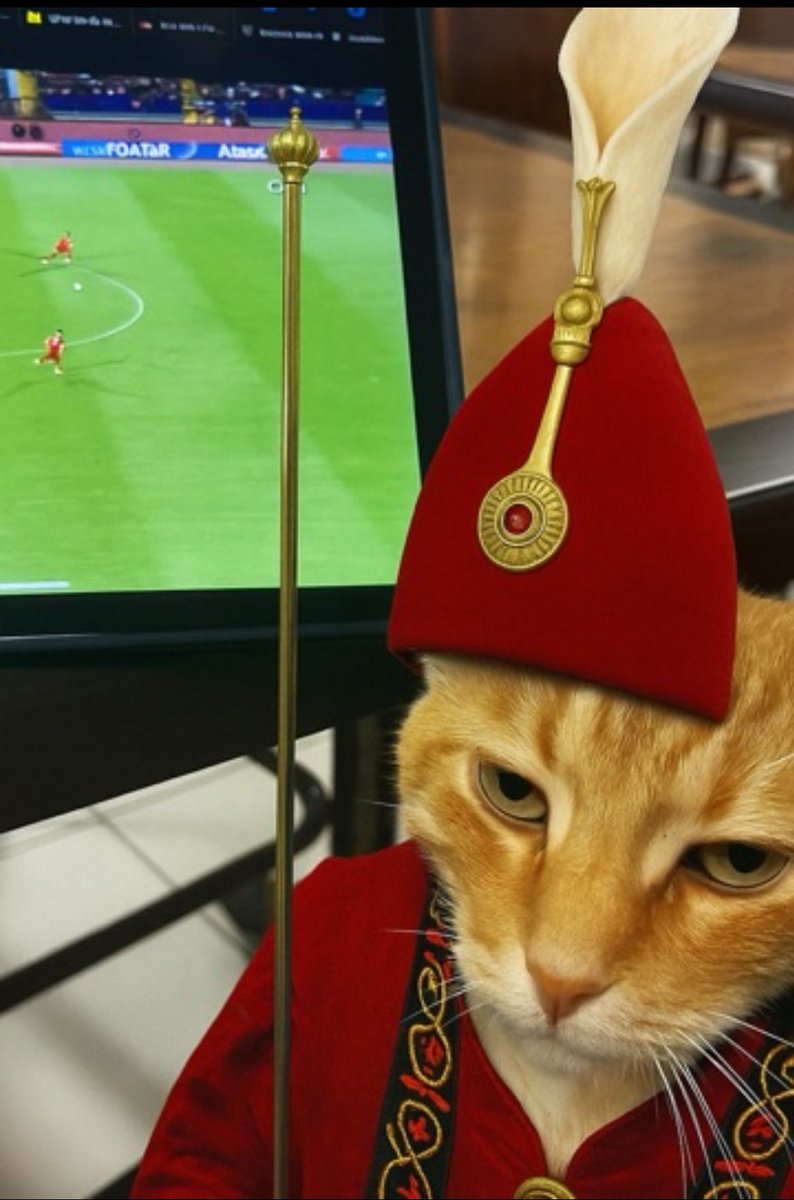 Ojbej 🇹🇷 tweet media