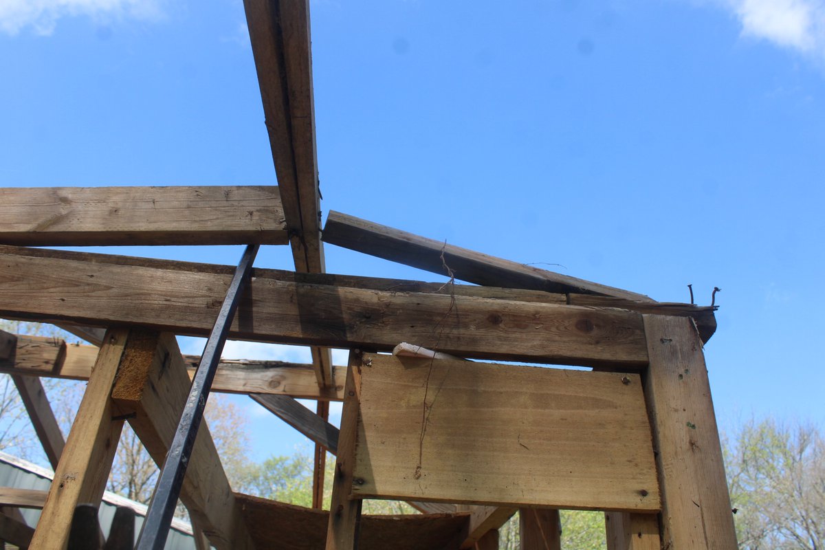 docsanderson's tweet image. #Scientists #Carpenter #RestorationProject #ApexPredator @HeartsofHeroes_ @danpeckwx
@Ginger_Zee @Nature Lizzie Gibney Borden The Axe Murderer. hon Ive &amp;gt;50% of the Rafters Removed closing in on Shed Collapse. running to town for supplies Mwah. if its the right Dog, we'll See- Lee