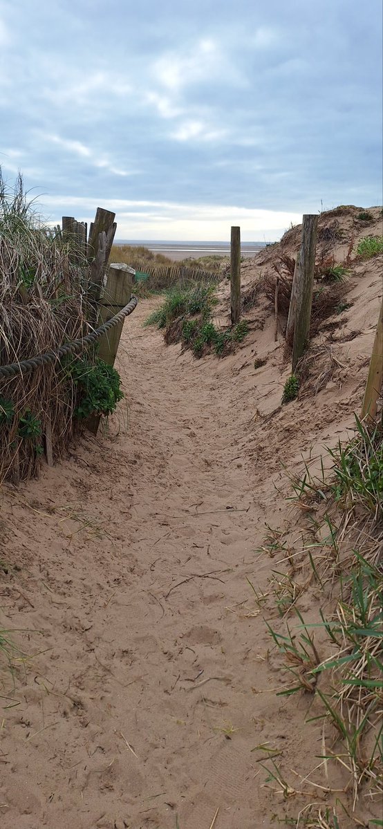 Angie (Littlevoice) & Angel Zara 🌈🐾 😻 💙 tweet media