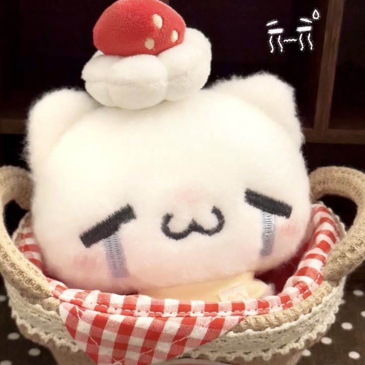 cherry ♡’s aventurine tweet media