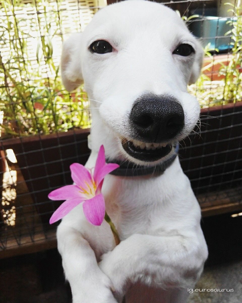 𓆩seymour𓆪 tweet media