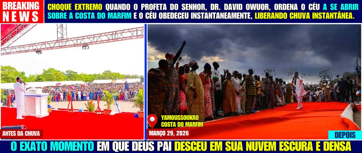 Sara Fernandes 🇧🇷 tweet media