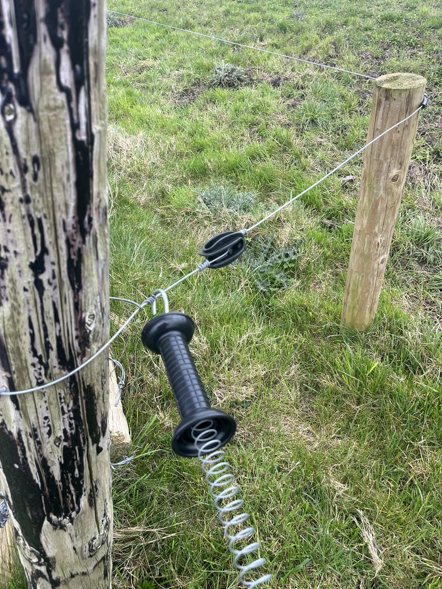 Paul Hyland 🐄 tweet media