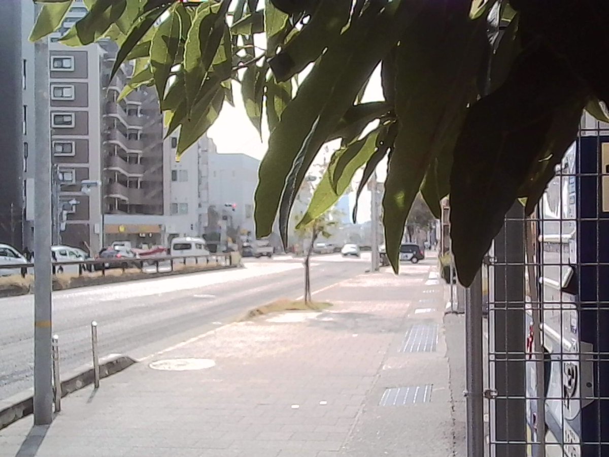 オレンス orens tweet media