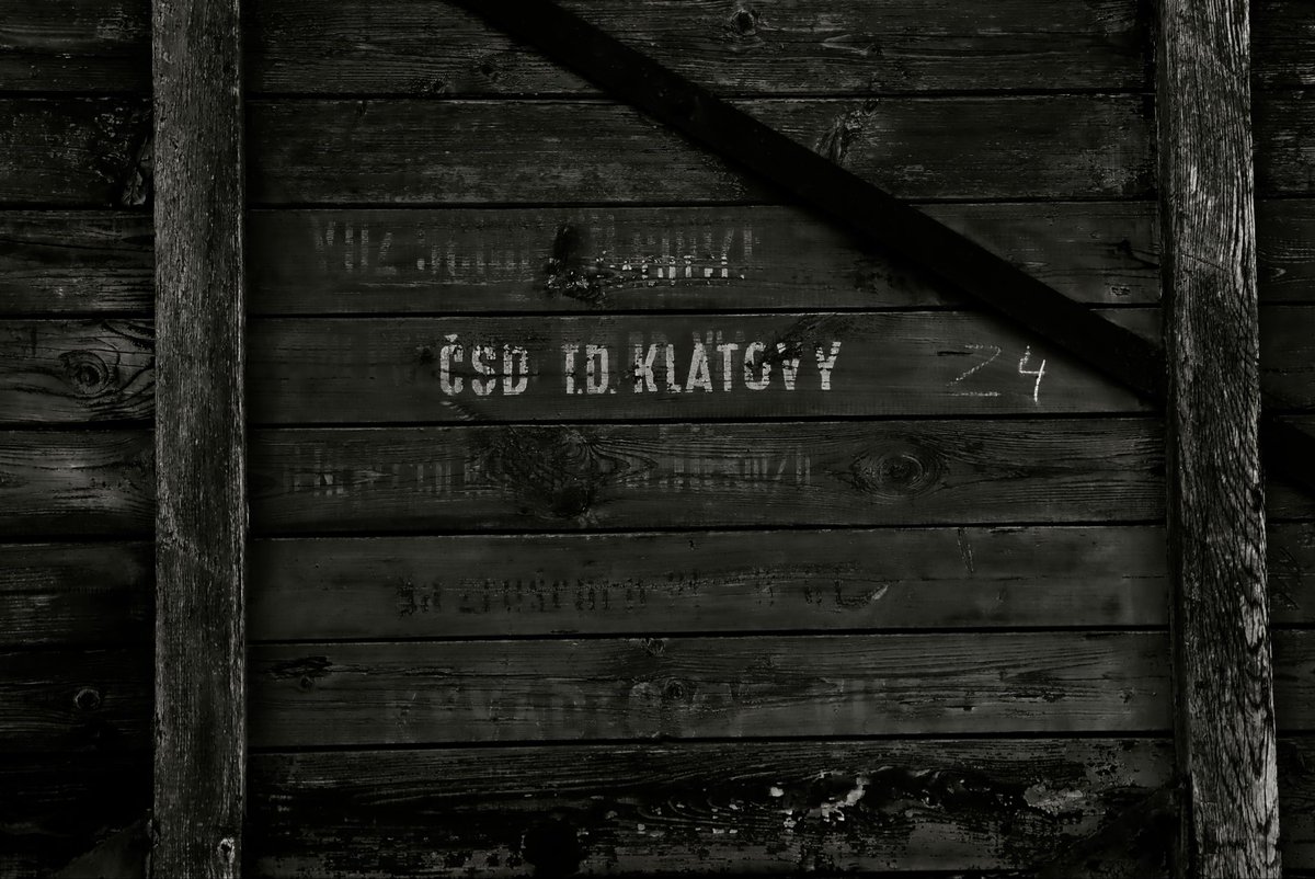 Michal Munzlinger 🤘 tweet media