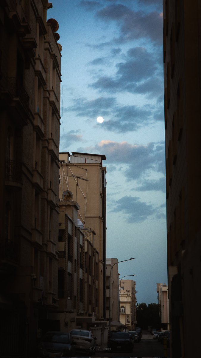 علي 🇵🇸 tweet media