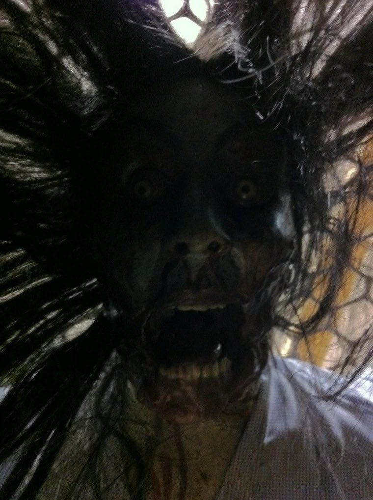 THE ULTIMATE SHIP 🦇🦔💥🌋🔥🔥🔥 tweet media