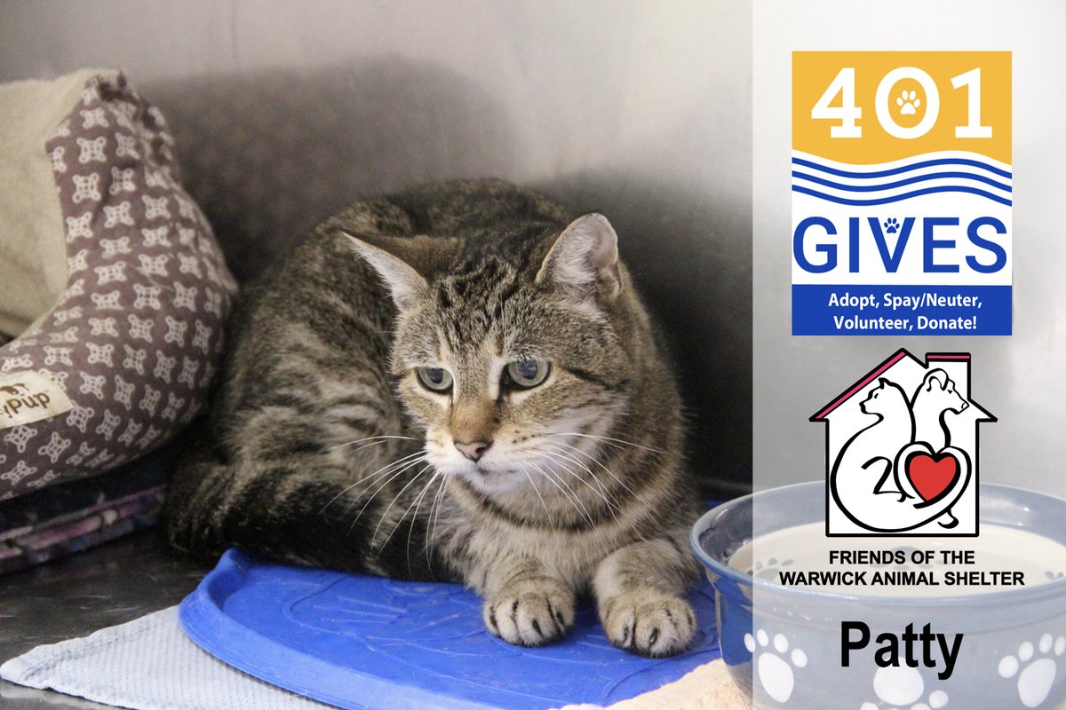 Friends of Warwick Animal Shelter tweet media