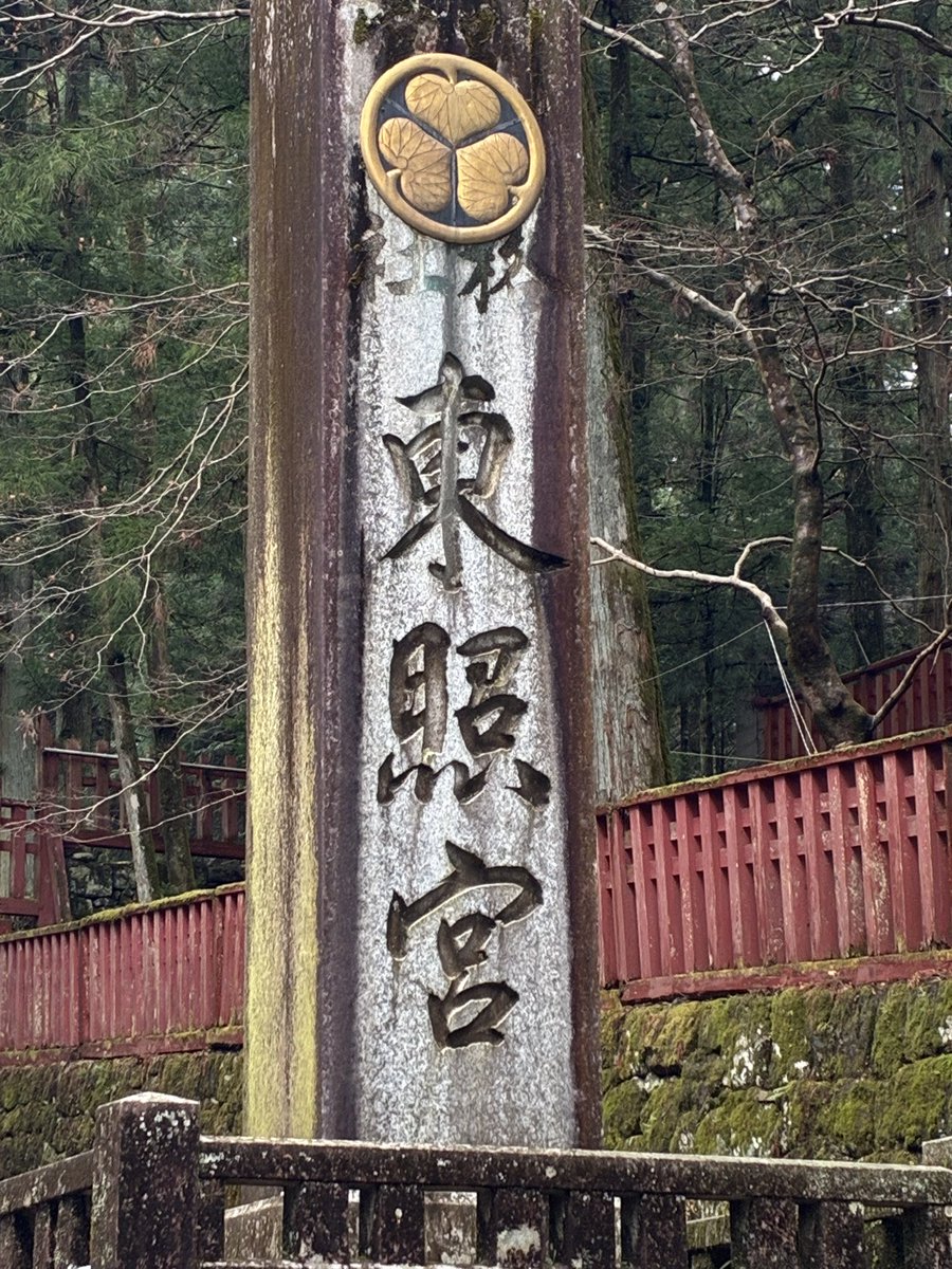 コロコロちゃん tweet media