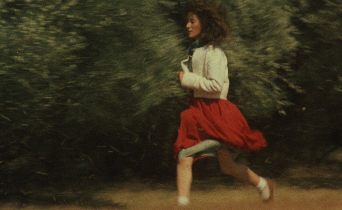 Cinema Guild tweet media