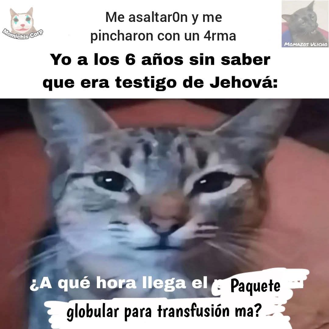 Shitpost Aleatorio tweet media