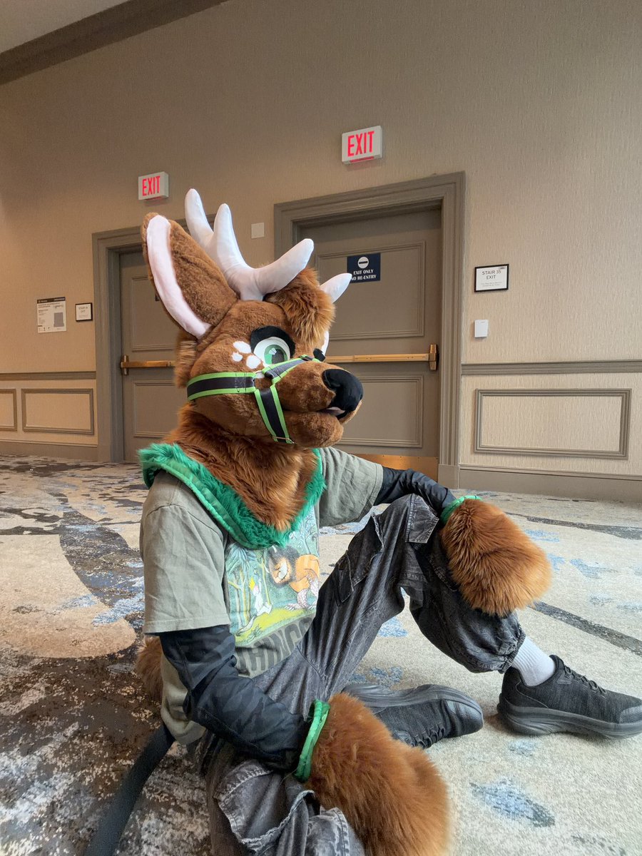 🦊shanti🦊 tweet media