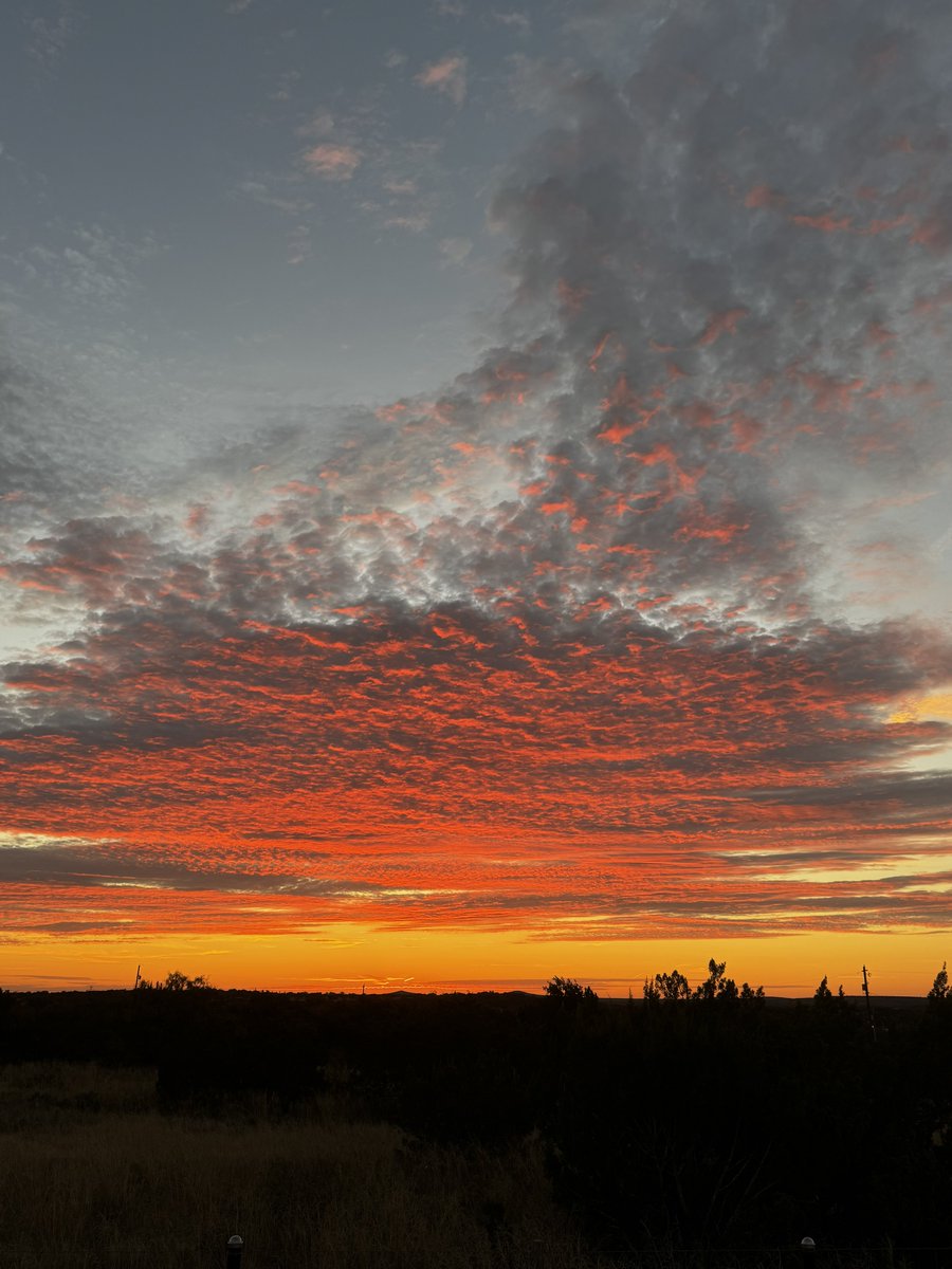 William Munny tweet media