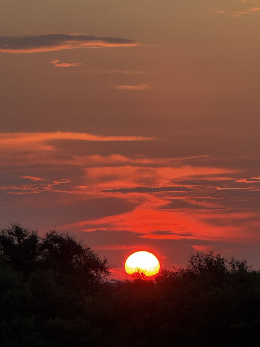 William Munny tweet media