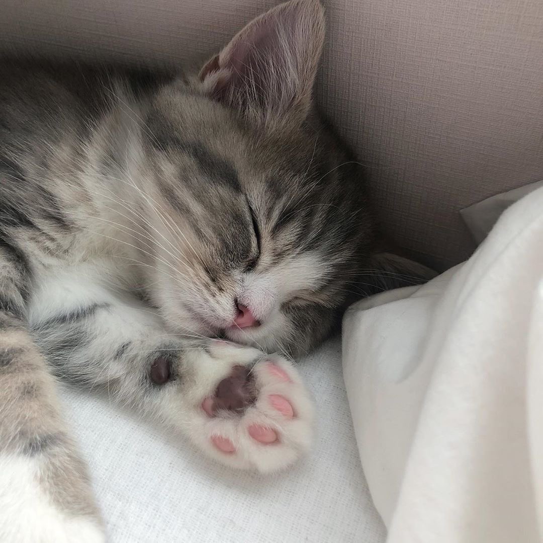 Jörg Rainer tweet media