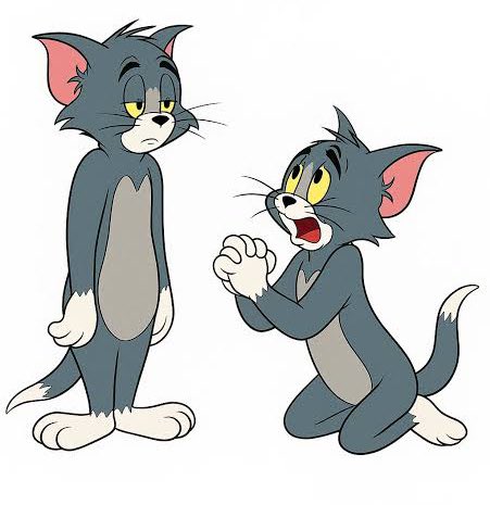 werita flow rockstar tweet media