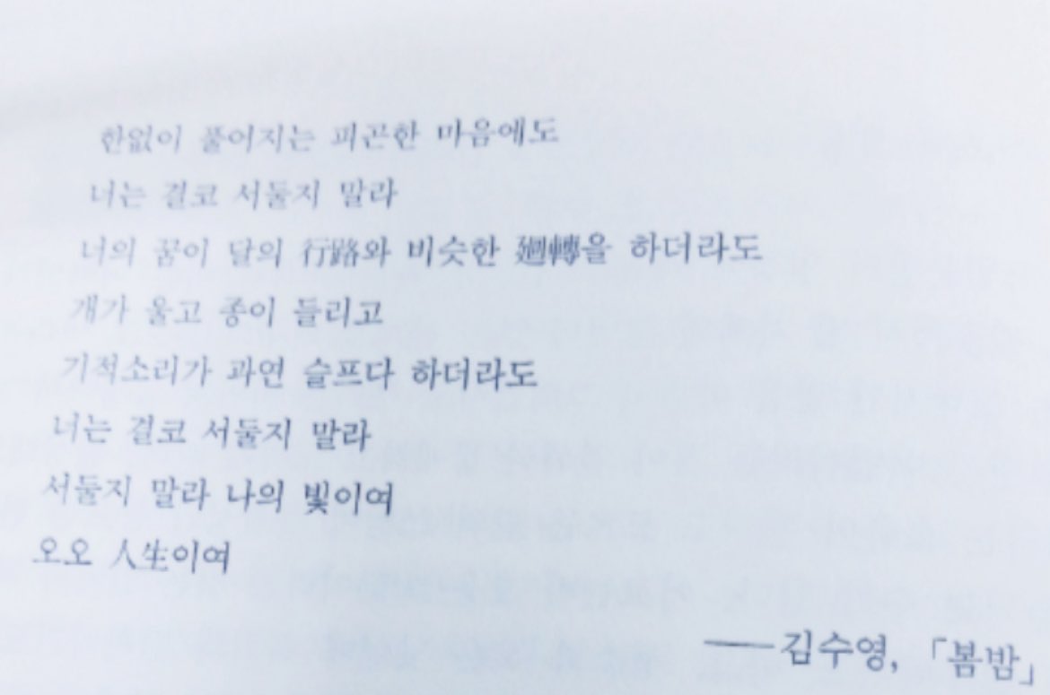 돈키 tweet media
