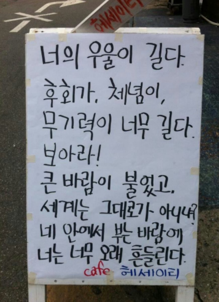 돈키 tweet media