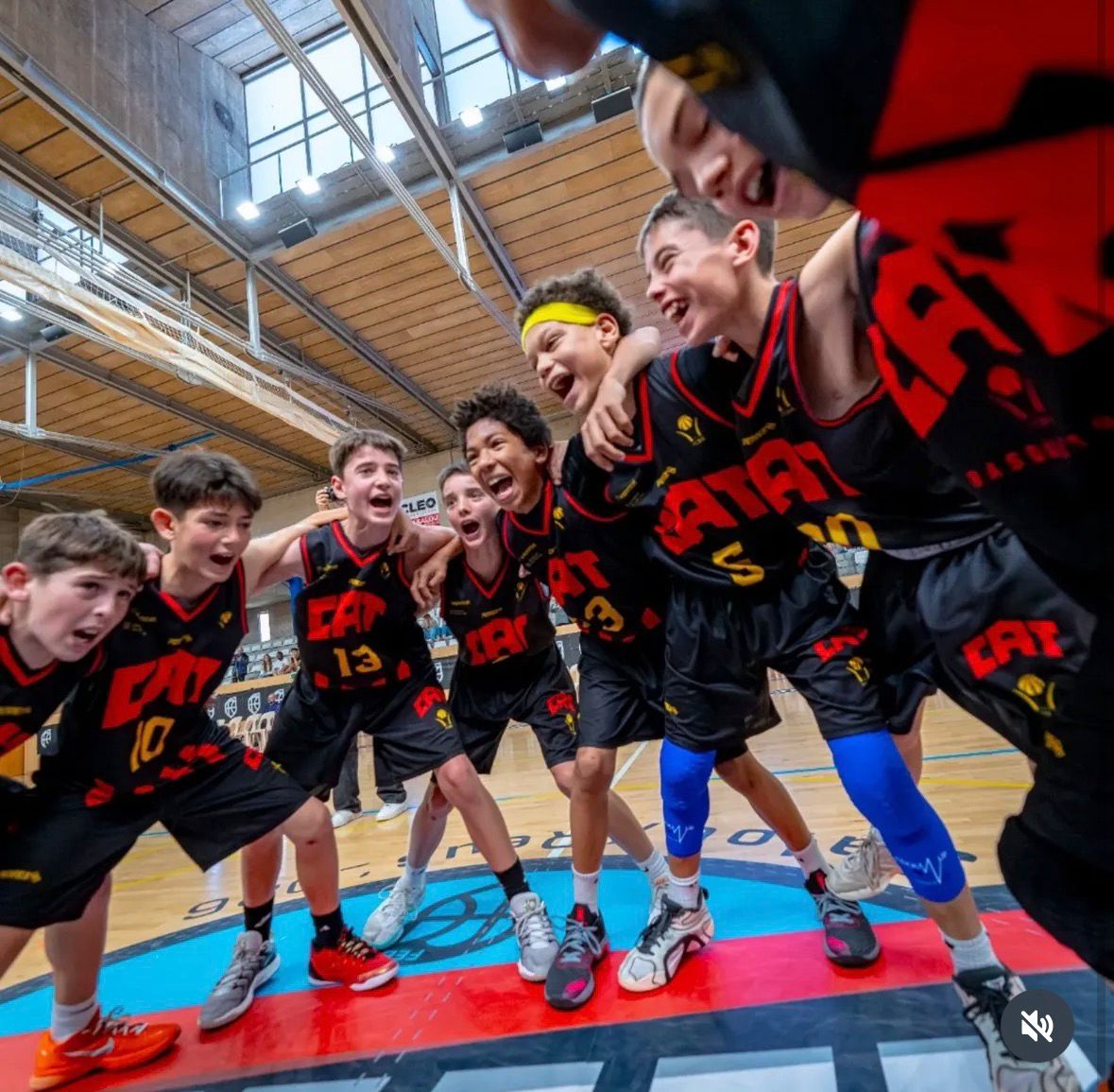 FCBQtècnic tweet media