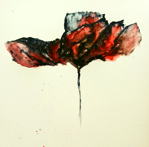 White Moth tweet media