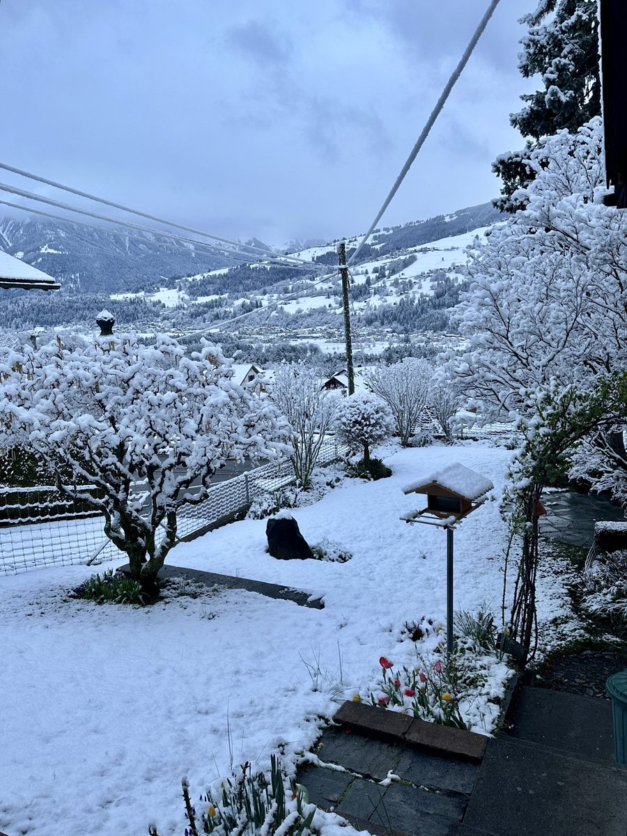 Gaudenz Tscharner tweet media