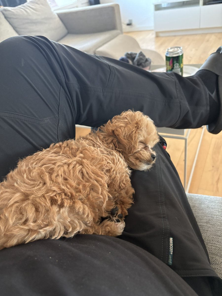 Jesper Simoni tweet media