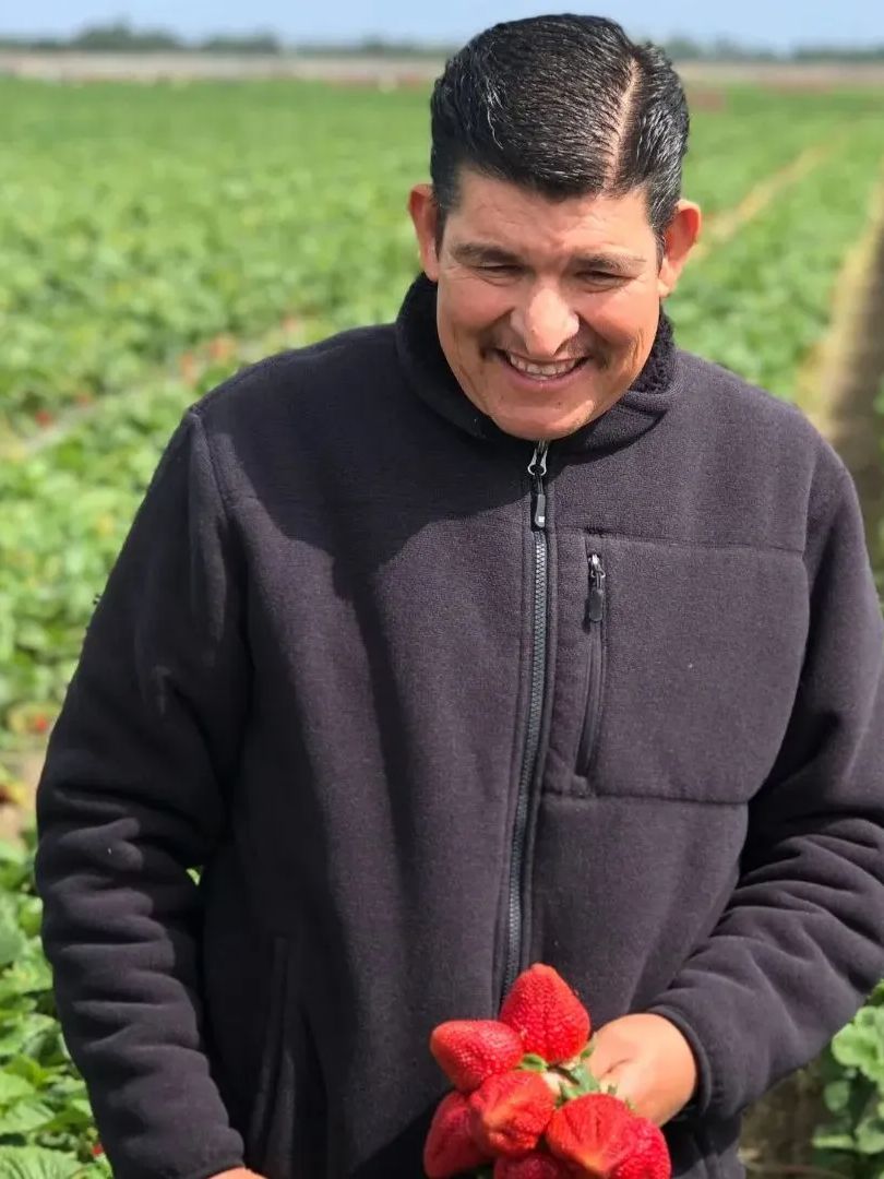 CA Strawberries tweet media