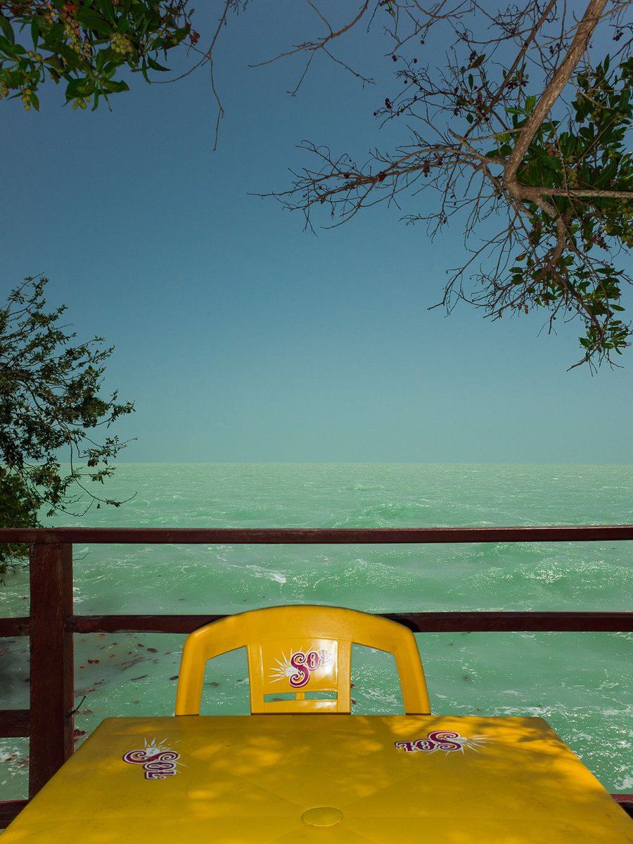 Chén Yǔxuān 陈宇轩 tweet media