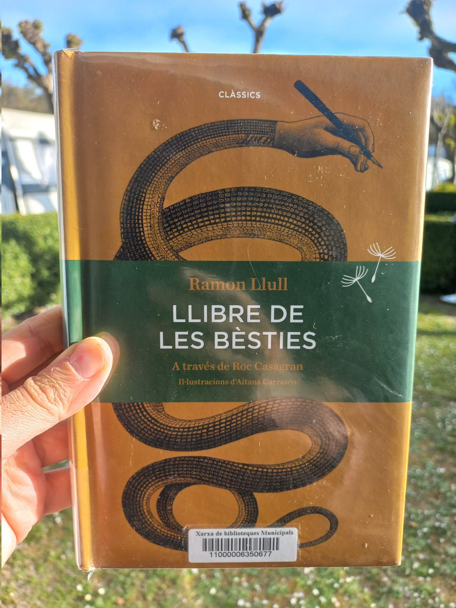 enric 🧅 tweet media